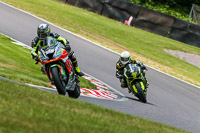PJ-Motorsport-Photography-2020;anglesey;brands-hatch;cadwell-park;croft;donington-park;enduro-digital-images;event-digital-images;eventdigitalimages;mallory;no-limits;oulton-park;peter-wileman-photography;racing-digital-images;silverstone;snetterton;trackday-digital-images;trackday-photos;vmcc-banbury-run;welsh-2-day-enduro